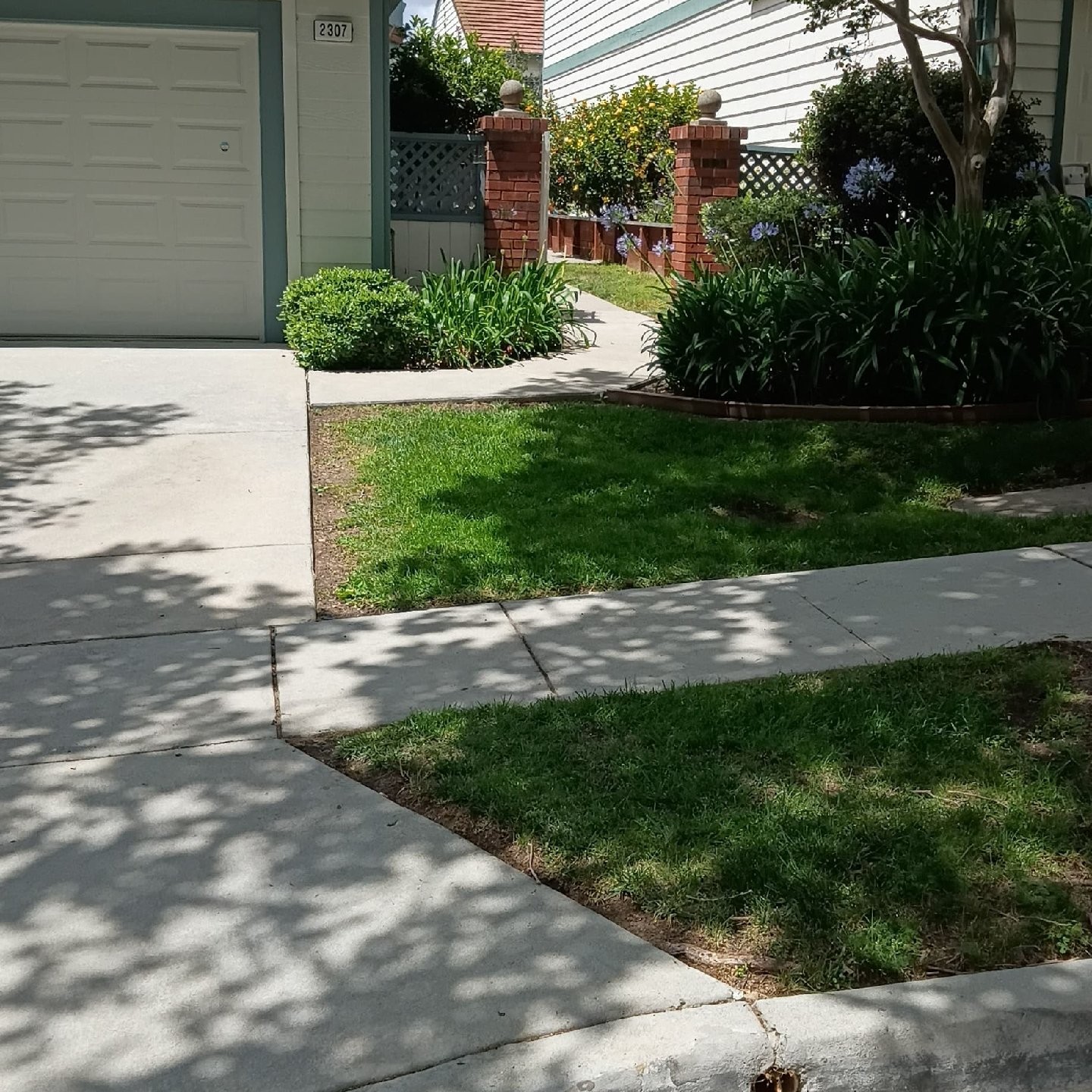 local-lawn-maintenance-contractors-in in Milpitas, CA