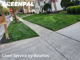 Yard Cutting nearby Powell, OH, 