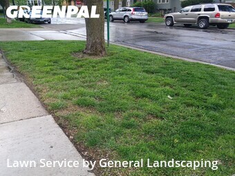 Lawn Mow nearby Oak Park, IL, 