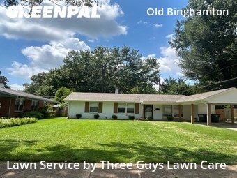 Local Lawn And Landscape Maintenance Services Near Me In Memphis,38111,Landscaping Maintenance by Three Guys Lawn Care, work completed in Jul , 2026