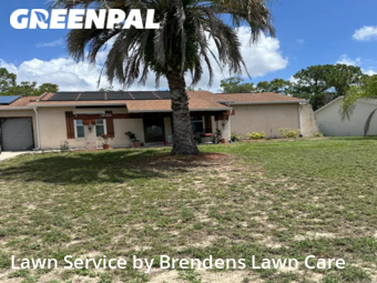 Lawn Service nearby Spring Hill, FL, 