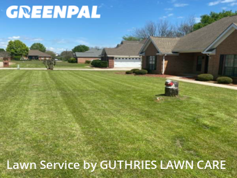 Lawn Mow nearby Warner Robins, GA, 