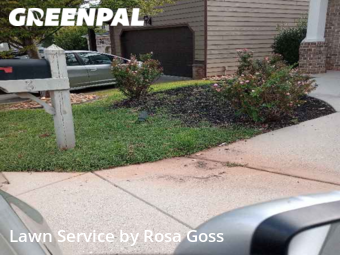Grass Cutting nearby Greenville, SC, 