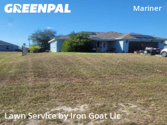 Grass Cut nearby Cape Coral, FL, 