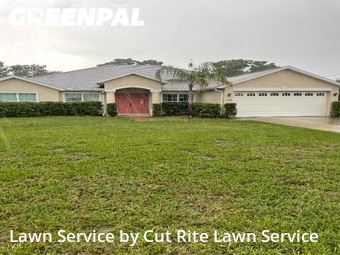 Yard Cutting nearby Spring Hill, FL, 