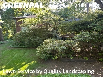 Yard Cutting nearby Bellevue, WA, 