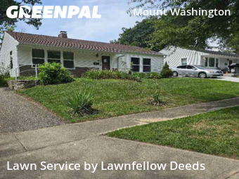 Lawn Cut nearby Cincinnati, OH, 