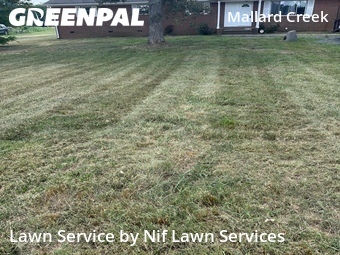 Lawn Mow nearby Charlotte, NC, 