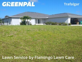 Lawn Service nearby Cape Coral, FL, 