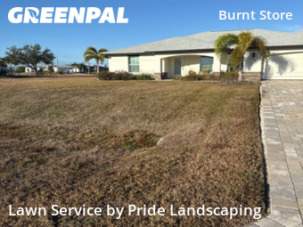 Yard Cutting nearby Cape Coral, FL, 