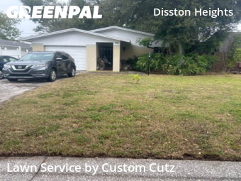 Grass Cutting nearby St. Petersburg, FL, 