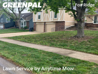 Lawn Care Service nearby Olathe, MO, 