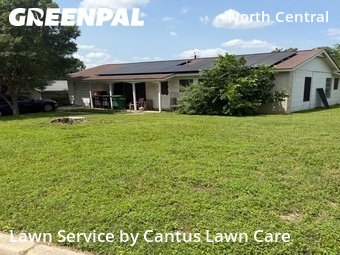 Grass Cutting nearby San Antonio, TX, 