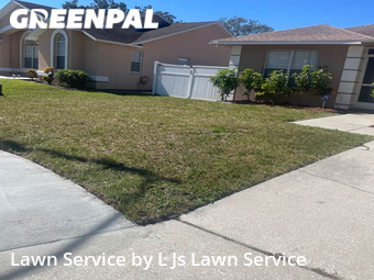 Grass Cut nearby Largo, FL, 