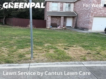 Lawn Cut nearby San Antonio, TX, 