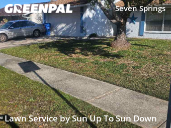Lawn Mow nearby New Port Richey, FL, 