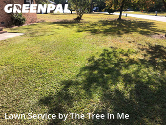 Lawn Mowing nearby Jacksonville, NC, 