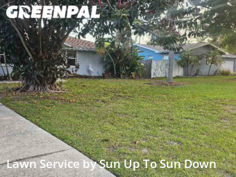 Lawn Cut nearby Clearwater, FL, 