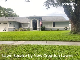 Grass Cut nearby Valrico, FL, 