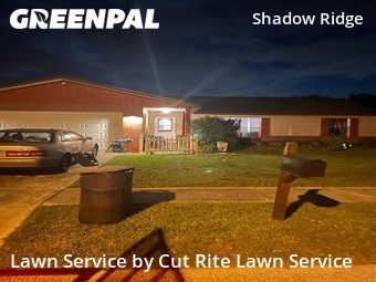 Grass Cut nearby Hudson, FL, 