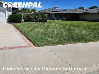 Yard Cutting nearby Lancaster, CA, 