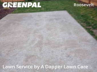 Grass Cutting nearby Bellingham, WA, 