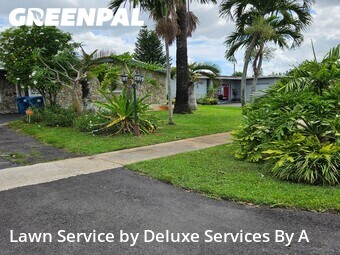 Lawn Cutin Sunrise,33322,Lawn Mowing by Deluxe Services By A, work completed in Jun , 2026