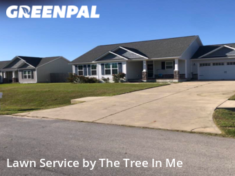 Grass Cut nearby Jacksonville, NC, 