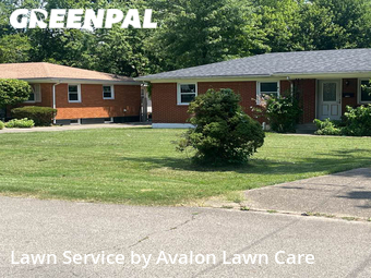 Lawn Cut nearby Louisville, KY, 