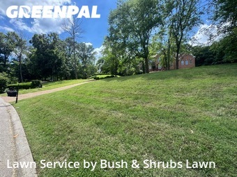 Lawn Mowingin Brentwood,37027,Yard Mowing by Bush & Shrubs Lawn, work completed in Jun , 2026