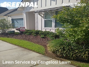 Grass Cut nearby Baton Rouge, LA, 