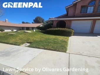 Work completed by residential-lawn-cutting-businesses-in-Palmdale-CA