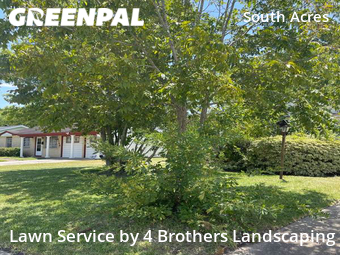 Lawn Service nearby Houston, TX, 