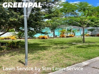 Lawn Mowing nearby Dunedin, FL, 