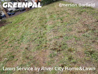 Grass Cut nearby Spokane, WA, 