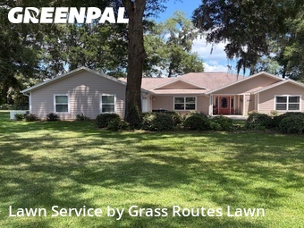 Grass Cut nearby Ocala, FL, 