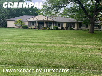 Grass Cutting nearby Nashville, TN, 