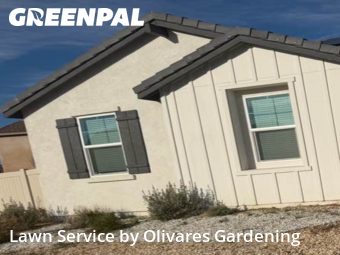 Affordable Landscaping In Lancaster,93536,Landscaping Cleanup by Olivares Gardening , work completed in Jan , 2026