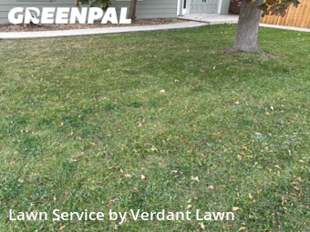 Yard Cutting nearby Loveland, CO, 