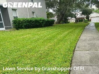 Lawn Mowing nearby Brandon, FL, 