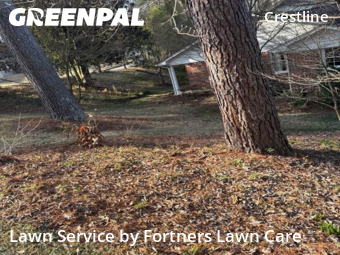 Lawn mowed in Birmingham, 35213