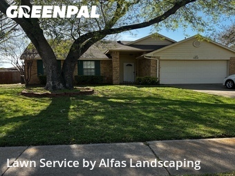 Lawn Maintenancein Flower Mound,75028,Grass Cutting by Alfas Landscaping, work completed in Jun , 2026