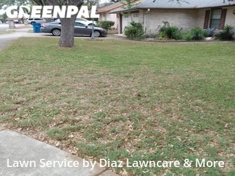 Lawn Mow nearby San Antonio, TX, 