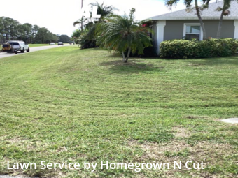 Lawn Maintenance nearby Port St. Lucie, FL, 