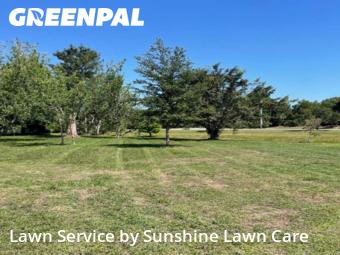 Lawn Cutting nearby Port St. Lucie, FL, 