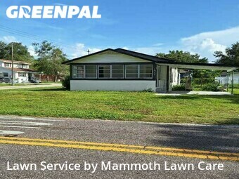 Grass Cut nearby Plant City, FL, 