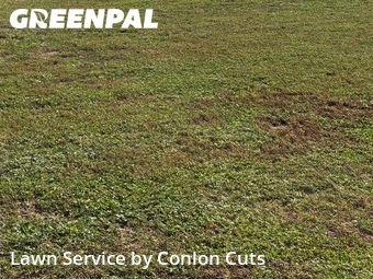 Lawn Service nearby Bradenton, FL, 