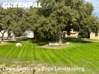 Lawn Mow nearby New Braunfels, TX, 