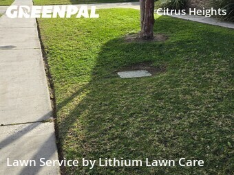 Local Lawn And Landscape Maintenance Services Near Me In Fontana,92336,Landscapers by Lithium Lawn Care , work completed in Apr , 2026