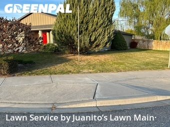 Lawn mowed in Pasco, 99301